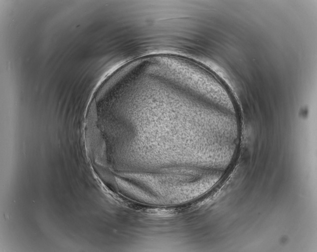 X0000098231145200805081216