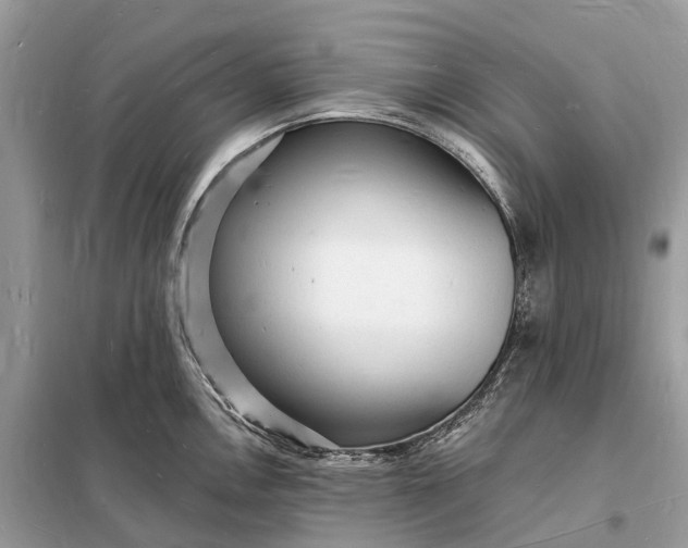 X0000098231146200805081216