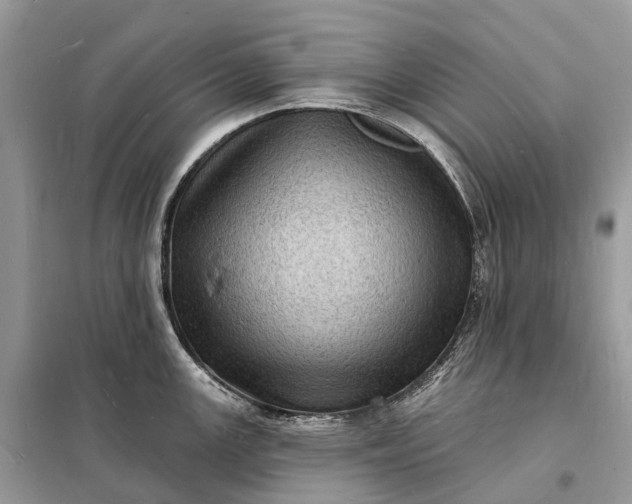 X0000098231147200805081216