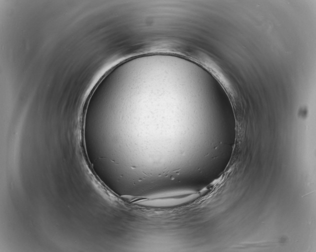 X0000098231148200805081216