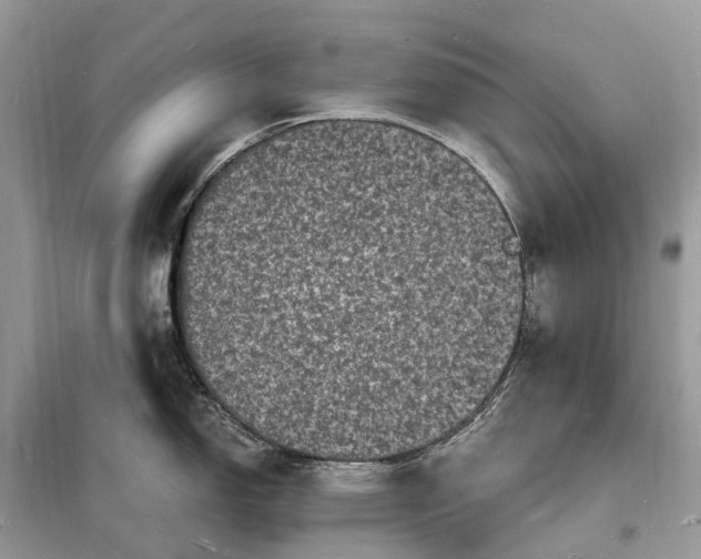 X0000098231150200805081216