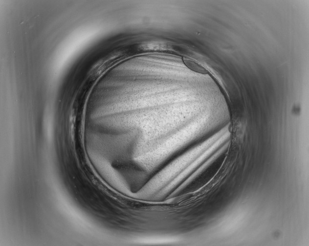 X0000098231151200805081216