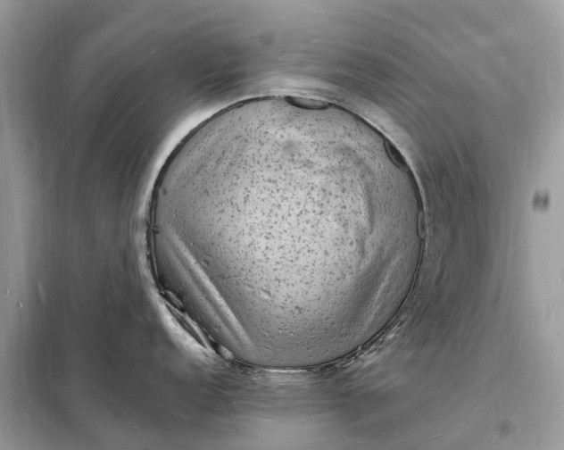 X0000098231152200805081216