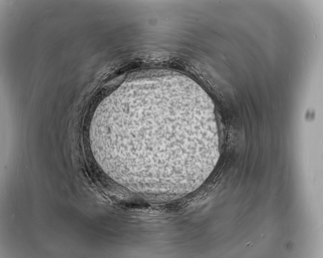 X0000098231153200805081215