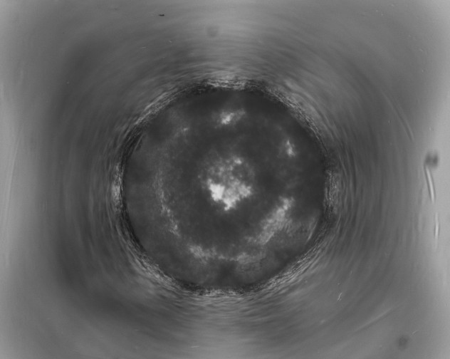 X0000098231154200805081215