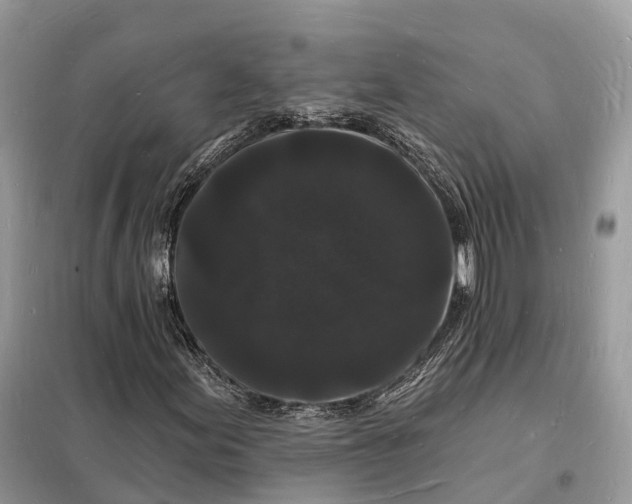 X0000098231155200805081215