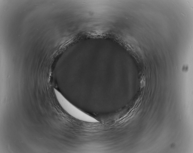 X0000098231156200805081215