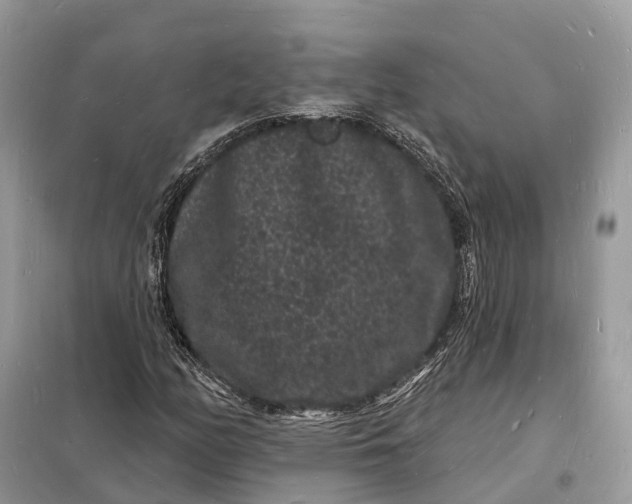 X0000098231158200805081215