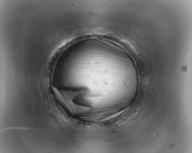 X0000098231159200805081215