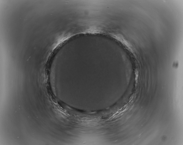 X0000098231160200805081215