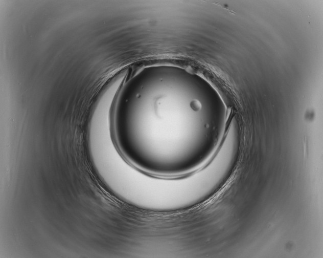 X0000098231161200805081215