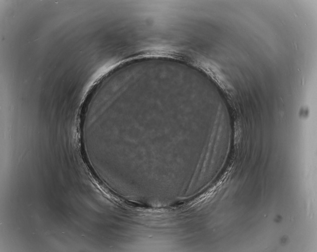 X0000098231164200805081215