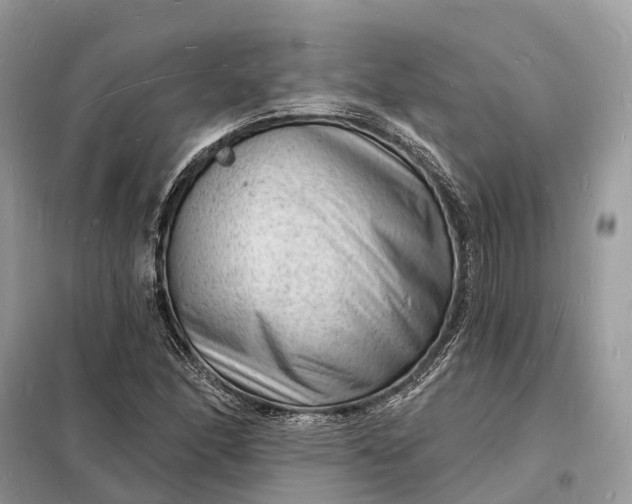 X0000098231166200805081215