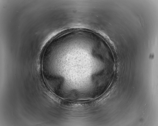 X0000098231167200805081215