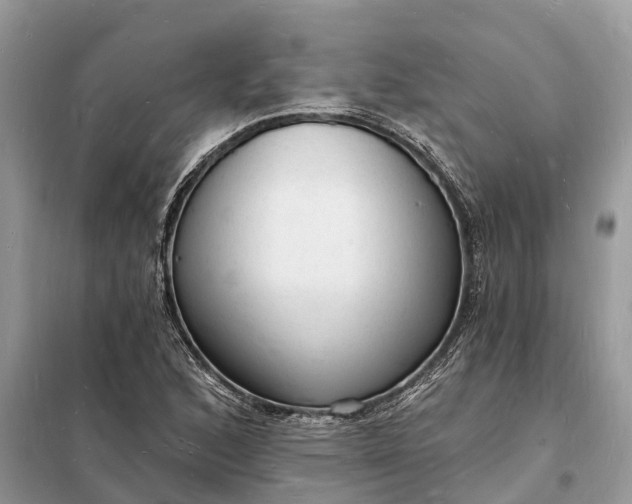 X0000098231168200805081215