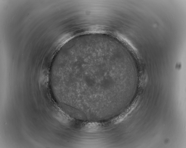 X0000098231169200805081215