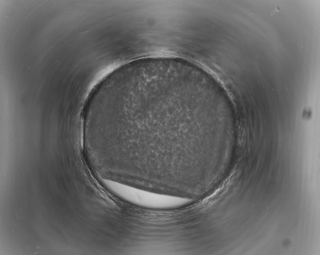 X0000098231171200805081215