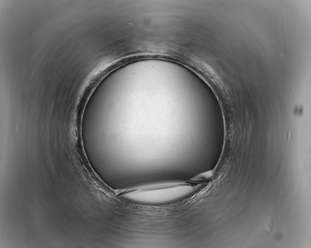 X0000098231172200805081215