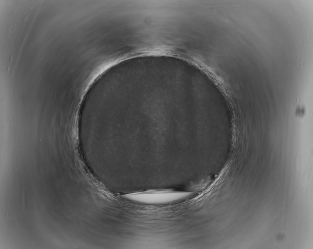 X0000098231174200805081215