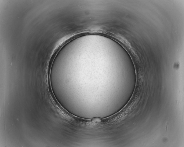 X0000098231176200805081215