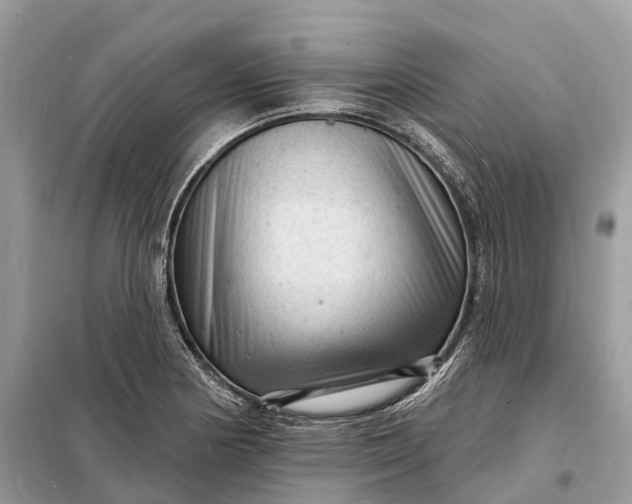 X0000098231178200805081215