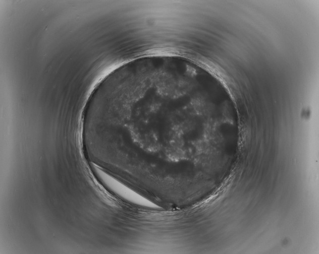 X0000098231179200805081215