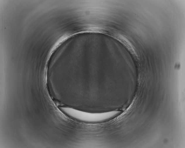 X0000098231180200805081215