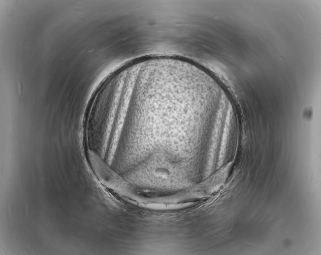 X0000098231183200805081215