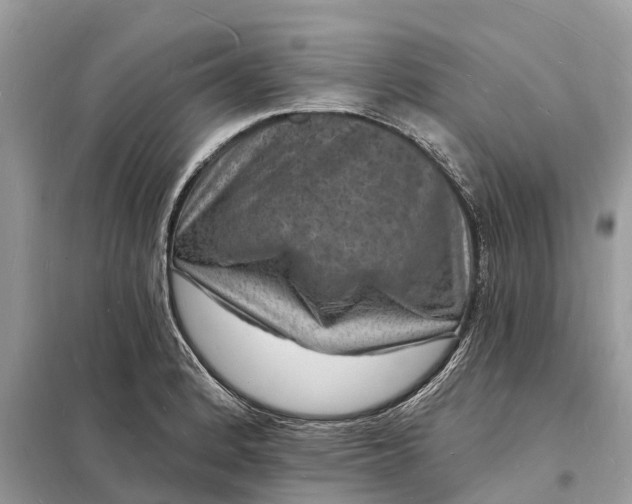 X0000098231184200805081215