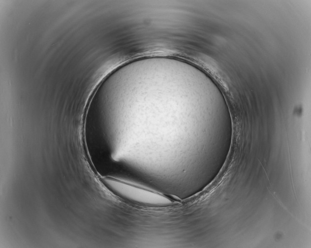 X0000098231186200805081215