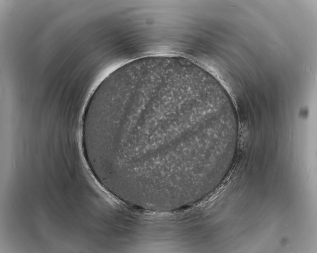 X0000098231187200805081215