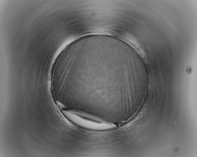 X0000098231188200805081215