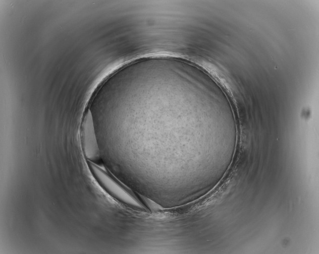 X0000098231189200805081215