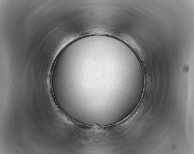 X0000098231190200805081215