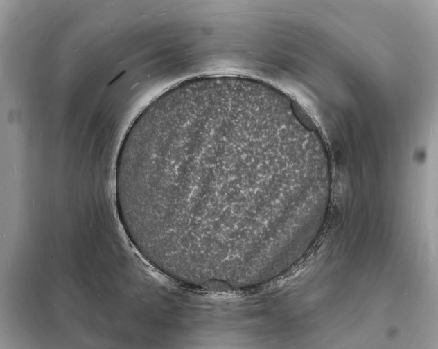 X0000098231191200805081215