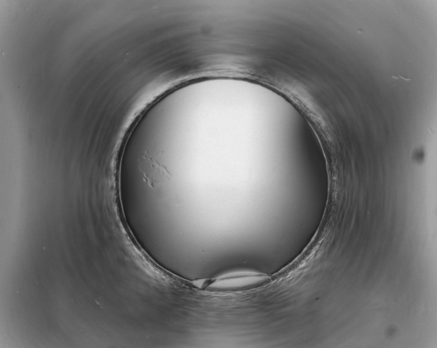 X0000098231192200805081215