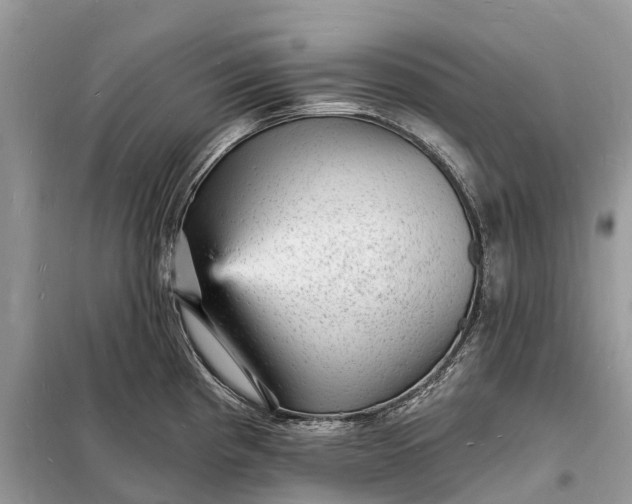 X0000098231193200805081214