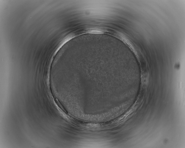 X0000098231194200805081214