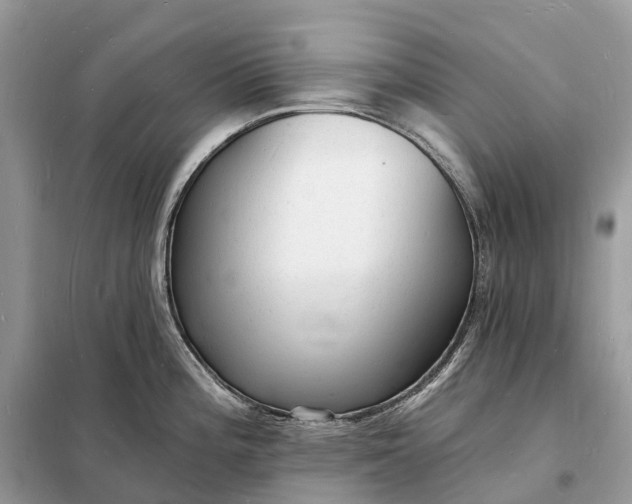 X0000098231196200805081214