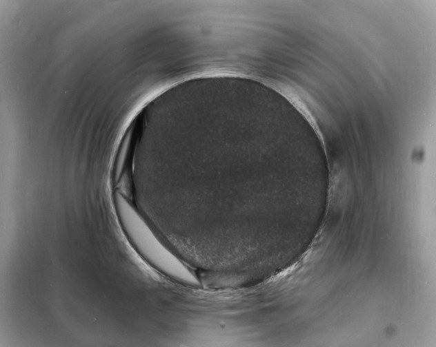 X0000098231197200805081214