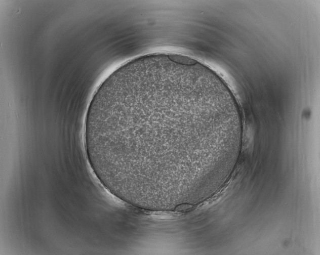 X0000098231199200805081214