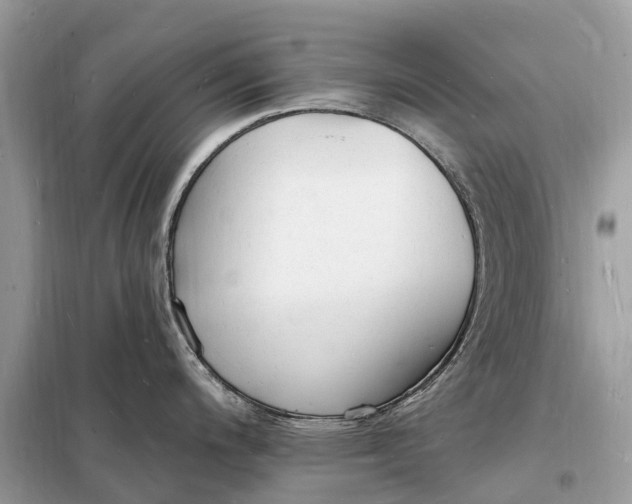 X0000098231200200805081214