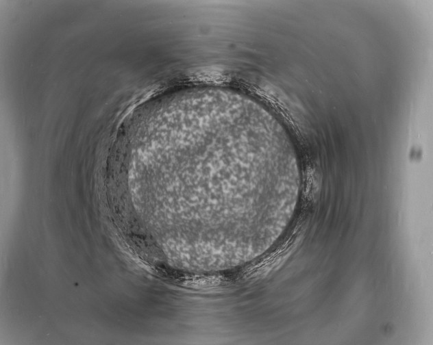 X0000098231201200805081214