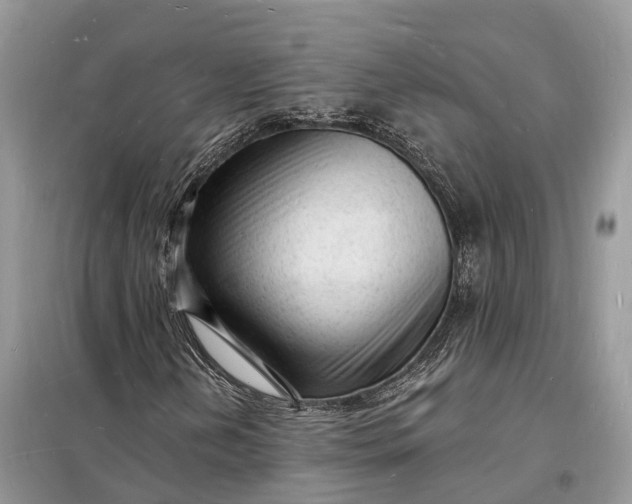 X0000098231202200805081214