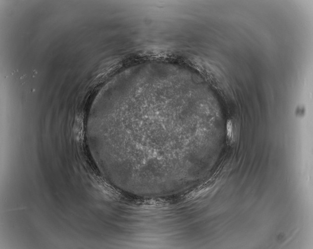 X0000098231203200805081214