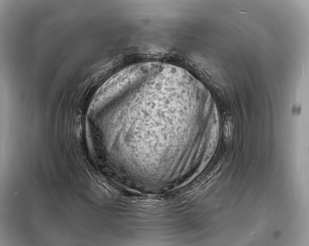 X0000098231204200805081214