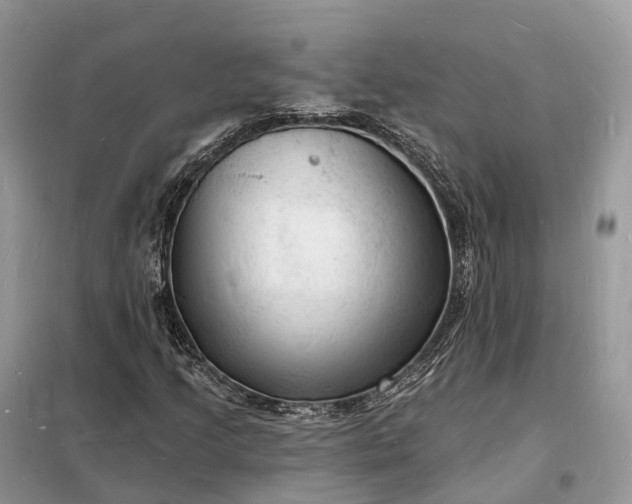 X0000098231205200805081214