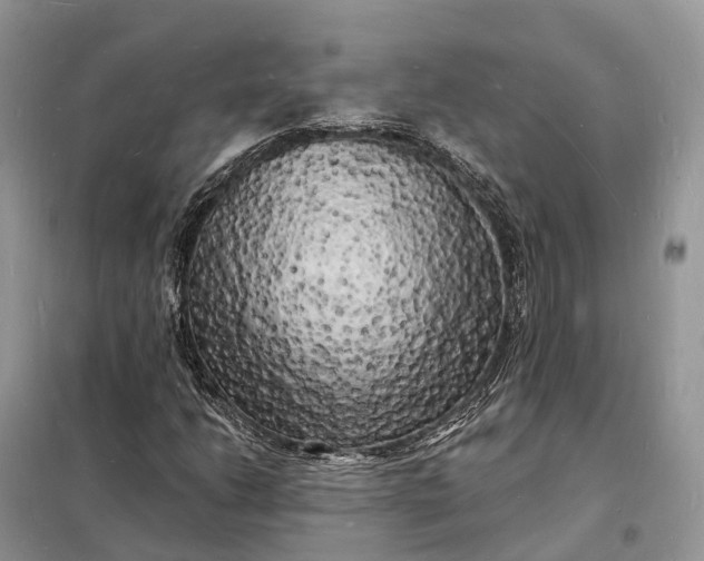 X0000098231206200805081214