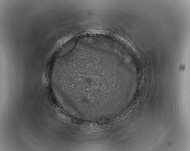 X0000098231207200805081214