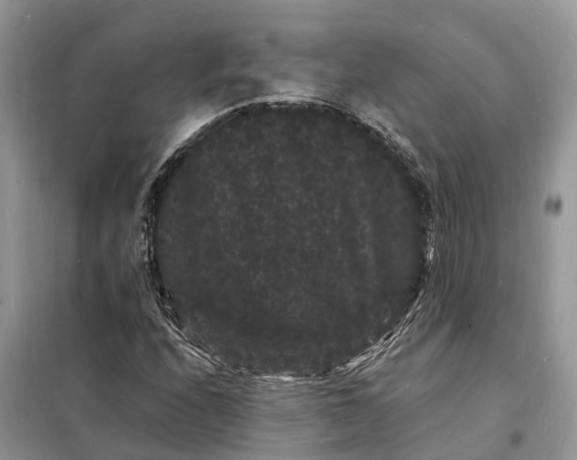 X0000098231208200805081214